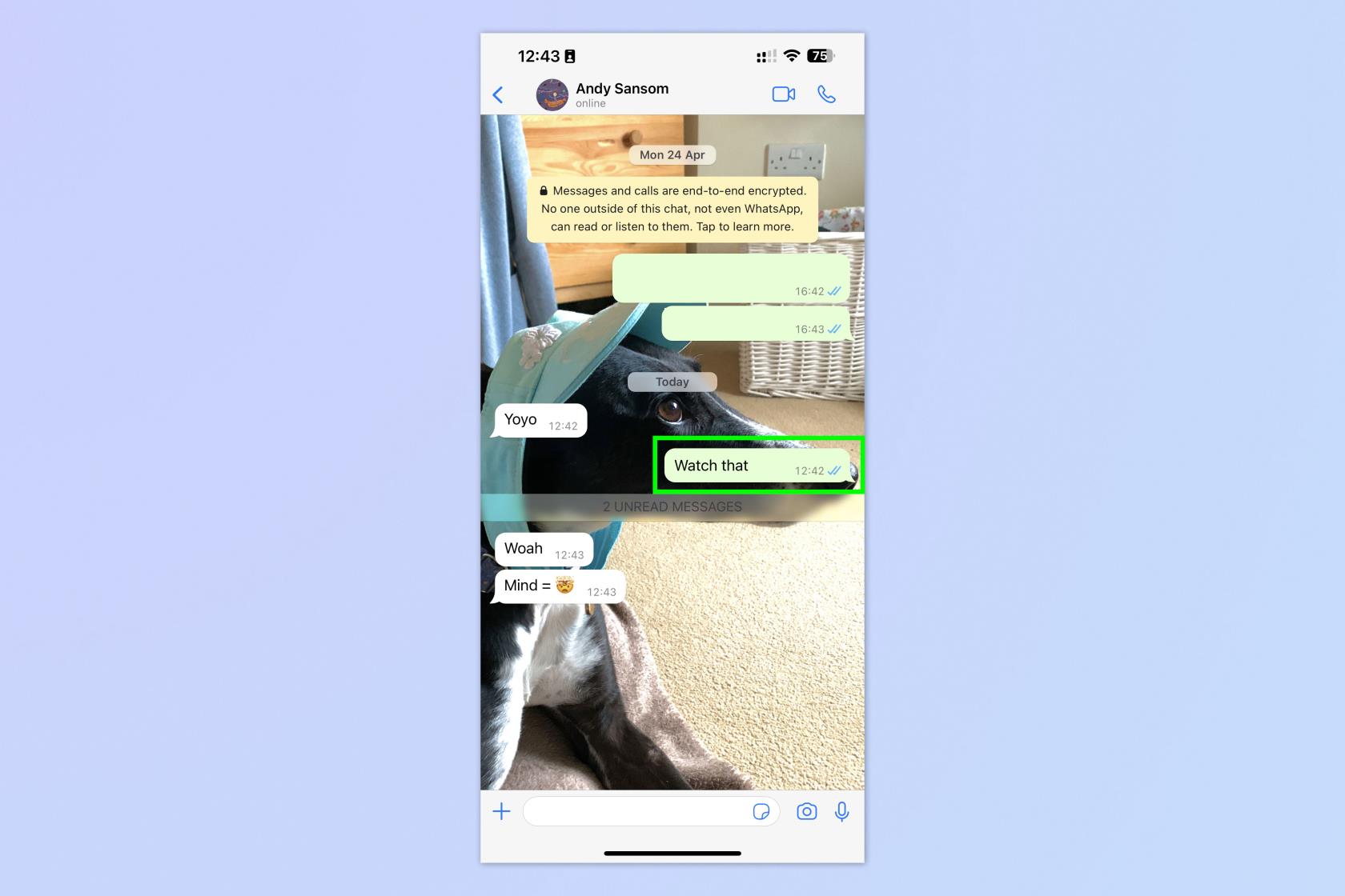 如何在 iOS 和 Android 上編輯 WhatsApp 消息