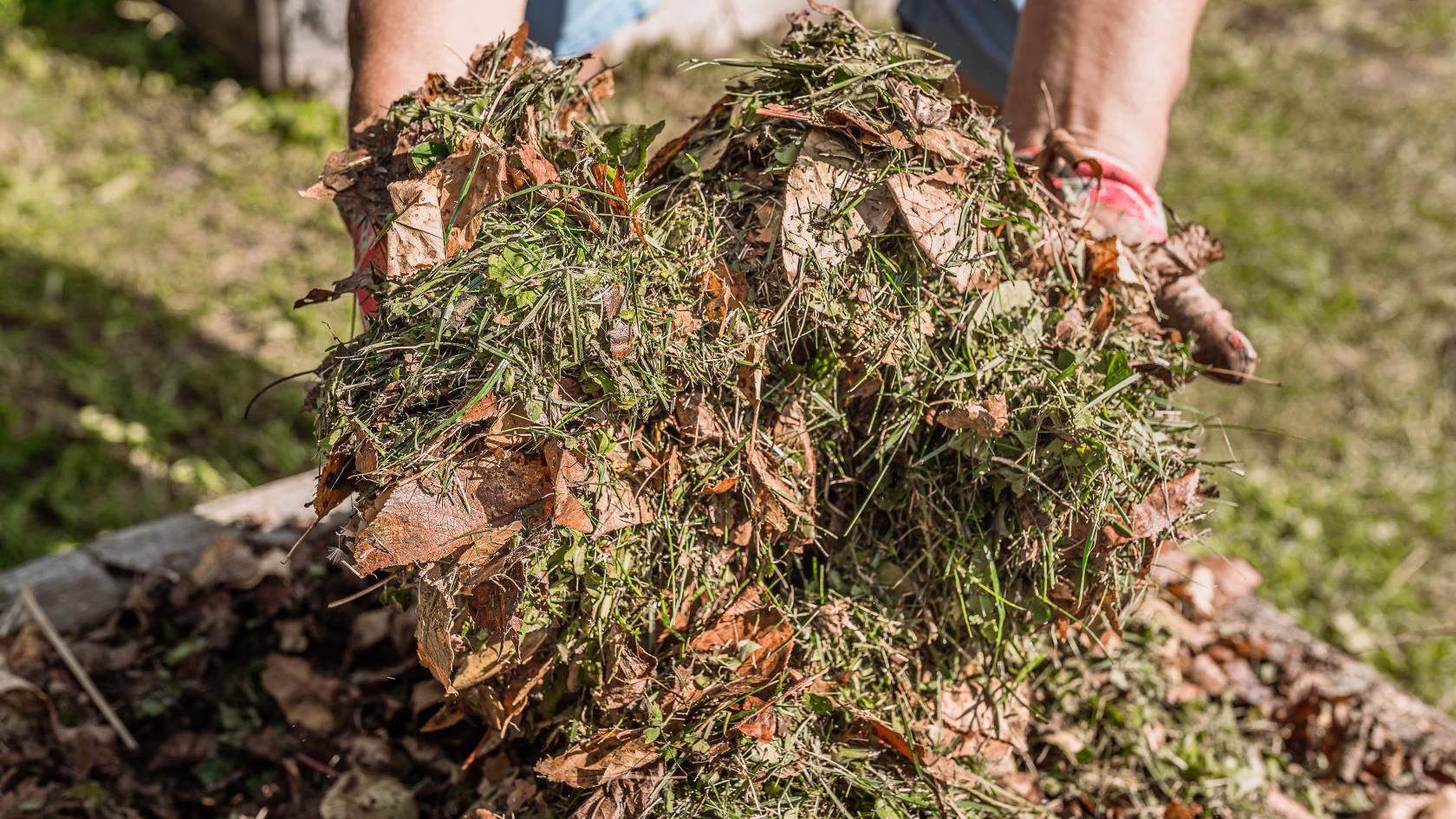 割草後重複利用草屑的 9 種方法