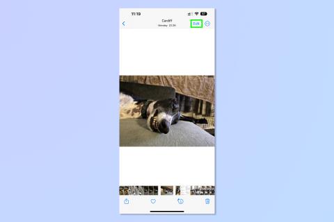 iOS 16 照片功能讓圖像編輯變得更加容易